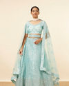 Light Blue Embellished Lehenga